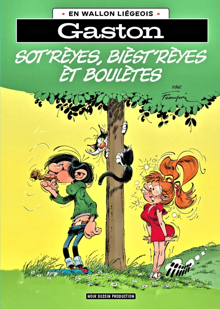 Gaston Lagaffe - En Wallon liégeois T16 - Sot'rèyes, bièstrèyes èt boulètes