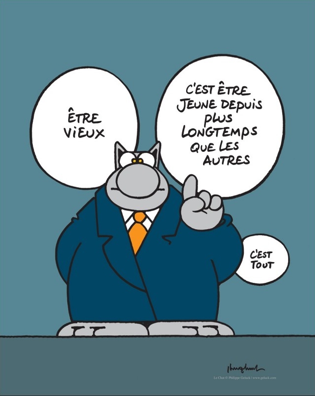 Geluck - Le chat VIEUX (Affiche 50X40 sous tube)