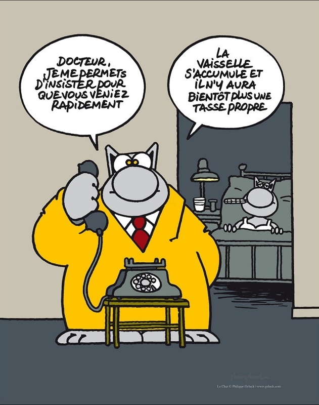 Geluck - Le chat DOCTEUR (Affiche 50X40 sous tube)