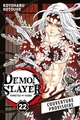 DEMON SLAYER T22