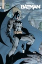 Batman - Silence - Nomad