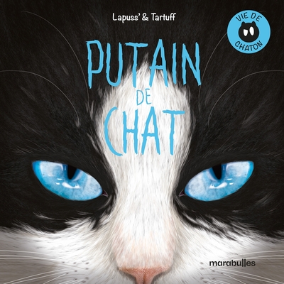 Putain de chat - T13