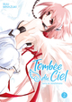 TOMBEE DU CIEL - TOME 02