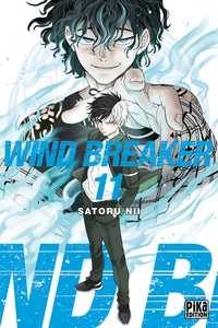 Wind Breaker - T11